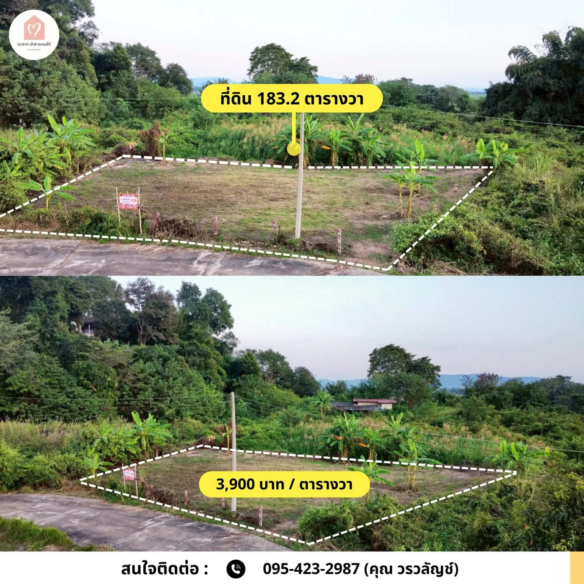 ขายที่ดินบ้านหนองบัวแดง แม่ข้าวต้ม 3 แปลง เริ่มต้น 183.2 ตร.ว.