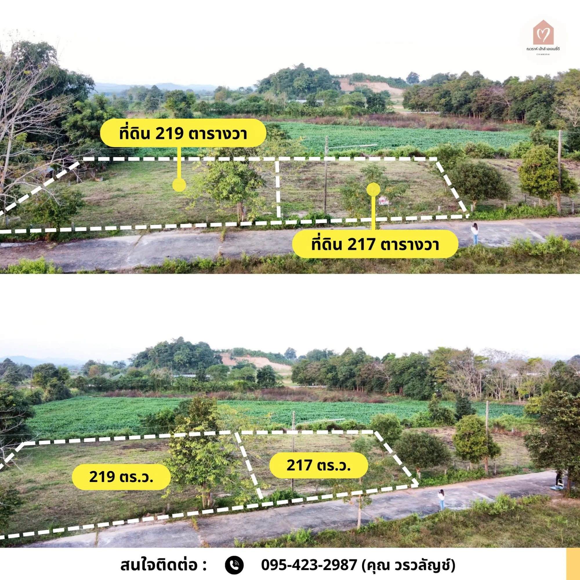 ขายที่ดินบ้านหนองบัวแดง แม่ข้าวต้ม 3 แปลง เริ่มต้น 183.2 ตร.ว.