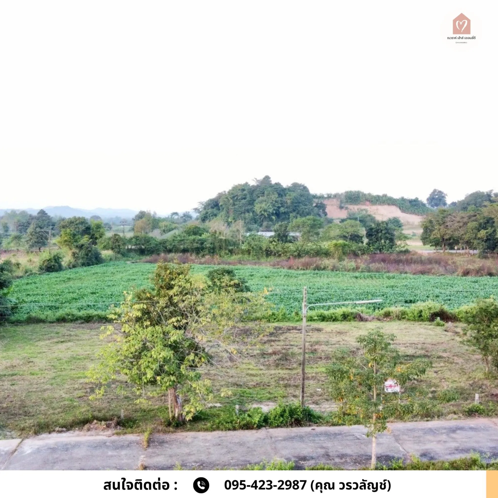 ขายที่ดินบ้านหนองบัวแดง แม่ข้าวต้ม 3 แปลง เริ่มต้น 183.2 ตร.ว.