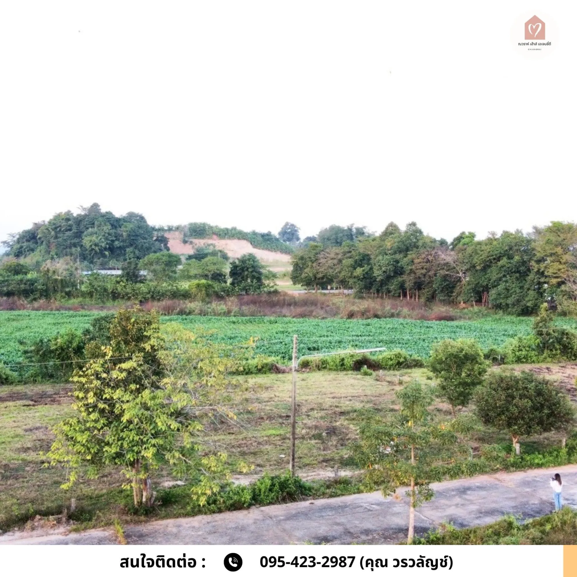 ขายที่ดินบ้านหนองบัวแดง แม่ข้าวต้ม 3 แปลง เริ่มต้น 183.2 ตร.ว.