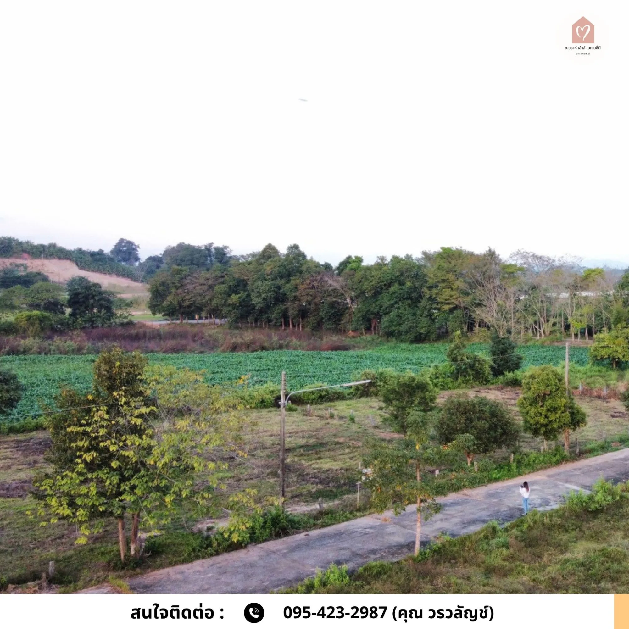 ขายที่ดินบ้านหนองบัวแดง แม่ข้าวต้ม 3 แปลง เริ่มต้น 183.2 ตร.ว.